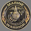 Marine Warrior Pin
