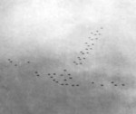 USS Ticonderoga planes flying in the famous 'T' formation